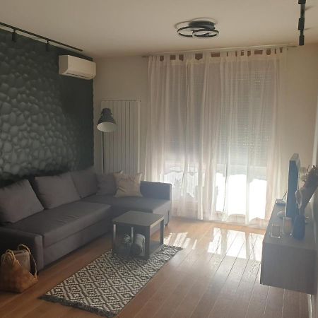 Apartment Mona 贝尔格莱德 外观 照片