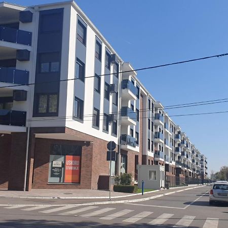 Apartment Mona 贝尔格莱德 外观 照片
