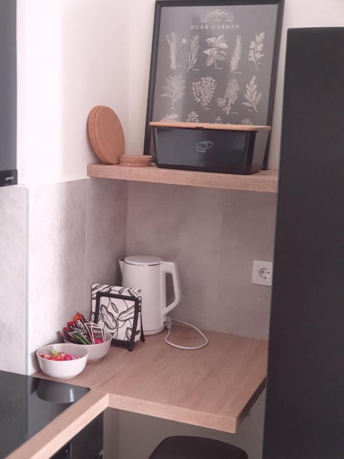 Apartment Mona 贝尔格莱德 外观 照片